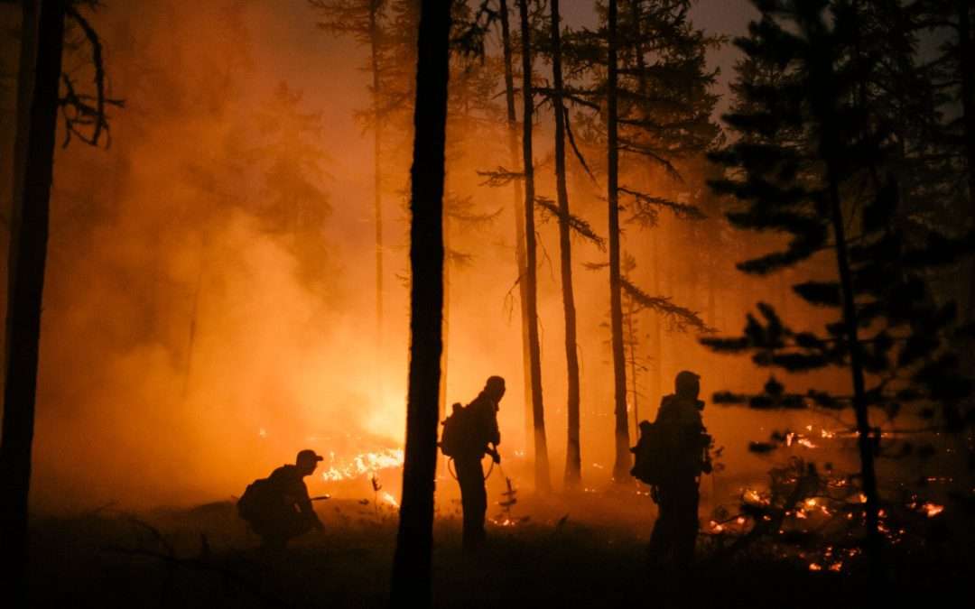 WILDFIRES – IMPACT OF CLIMATE CHANGE — Sept 23rd 2020